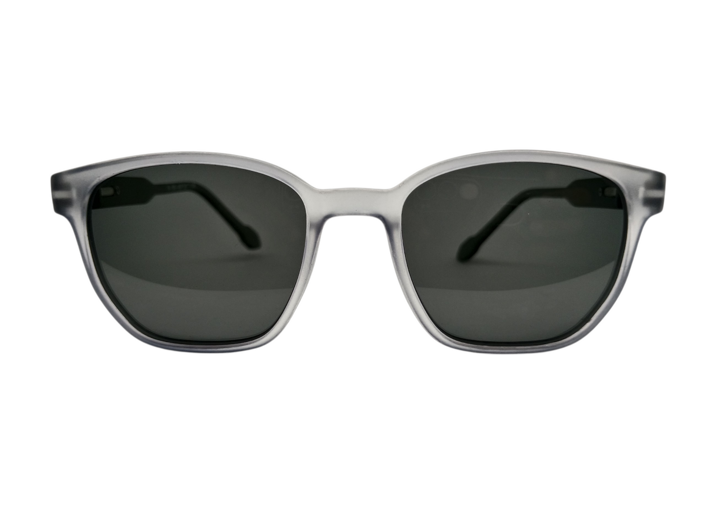Wayfarer Sunglasses