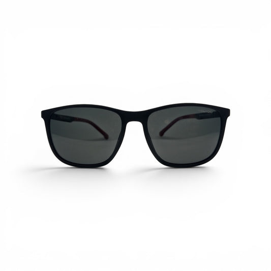 Wayfarer Sunglasses