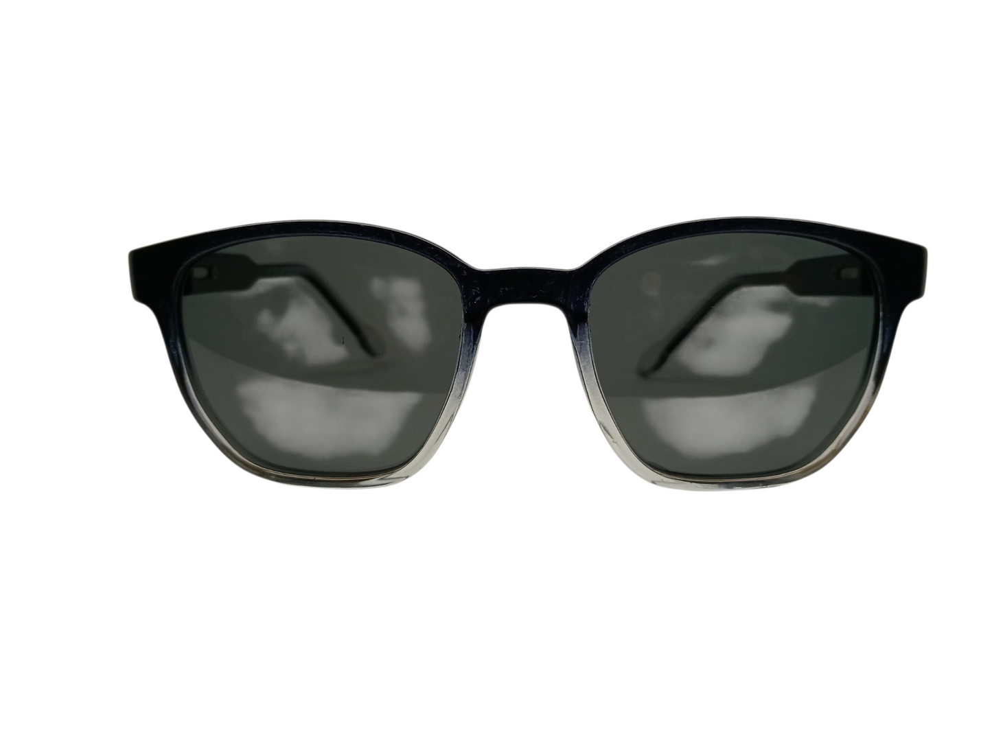 Wayfarer Sunglasses