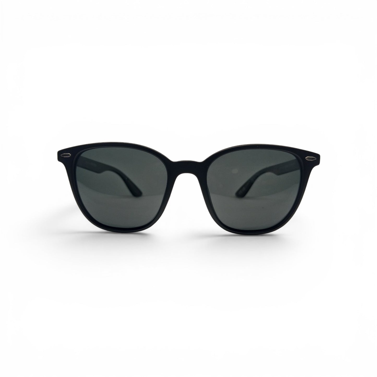 Wayfarer Sunglasses