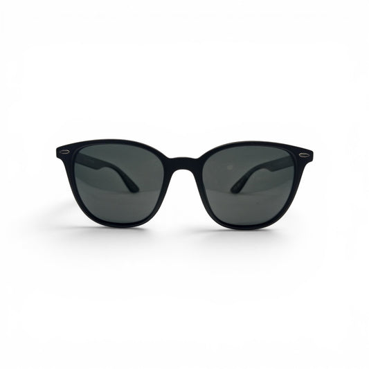 Wayfarer Sunglasses