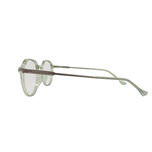 T20 Opticals Growth 3014 round eyeglasses with a clear plastic frame and slim stainless steel temples, side view.