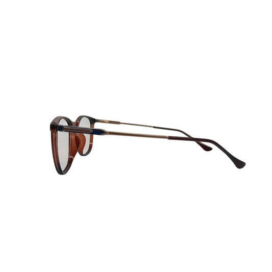 T20 Opticals Growth 3019 round eyeglasses with brown plastic frames and slim stainless steel temples, side view.